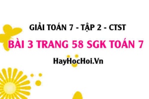Giải bài 3 trang 58 Toán 7 tập 2 SGK Chân trời sáng tạo